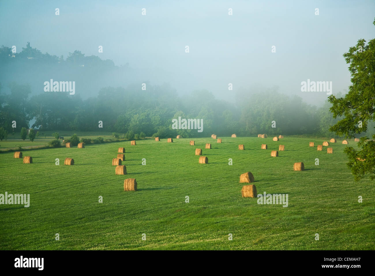 Los fardos de heno de pasto grande y redondo en una pradera de heno Montañas Ozark, listo para ser trasladado a una zona de almacenamiento / Arkansas, Estados Unidos. Foto de stock