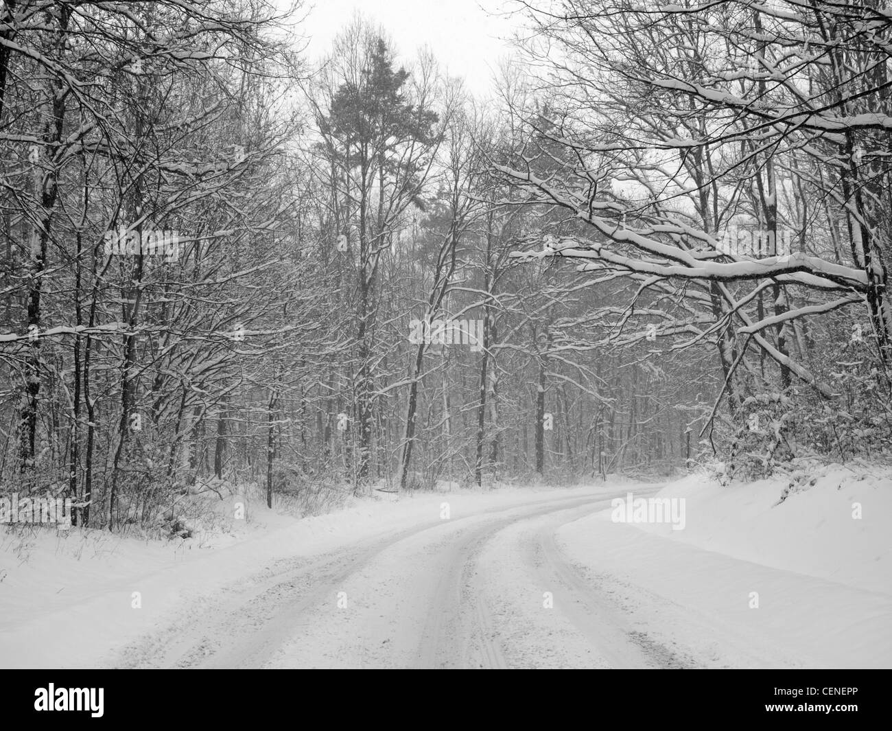 Road, girando en los bosques a través de la nieve Foto de stock