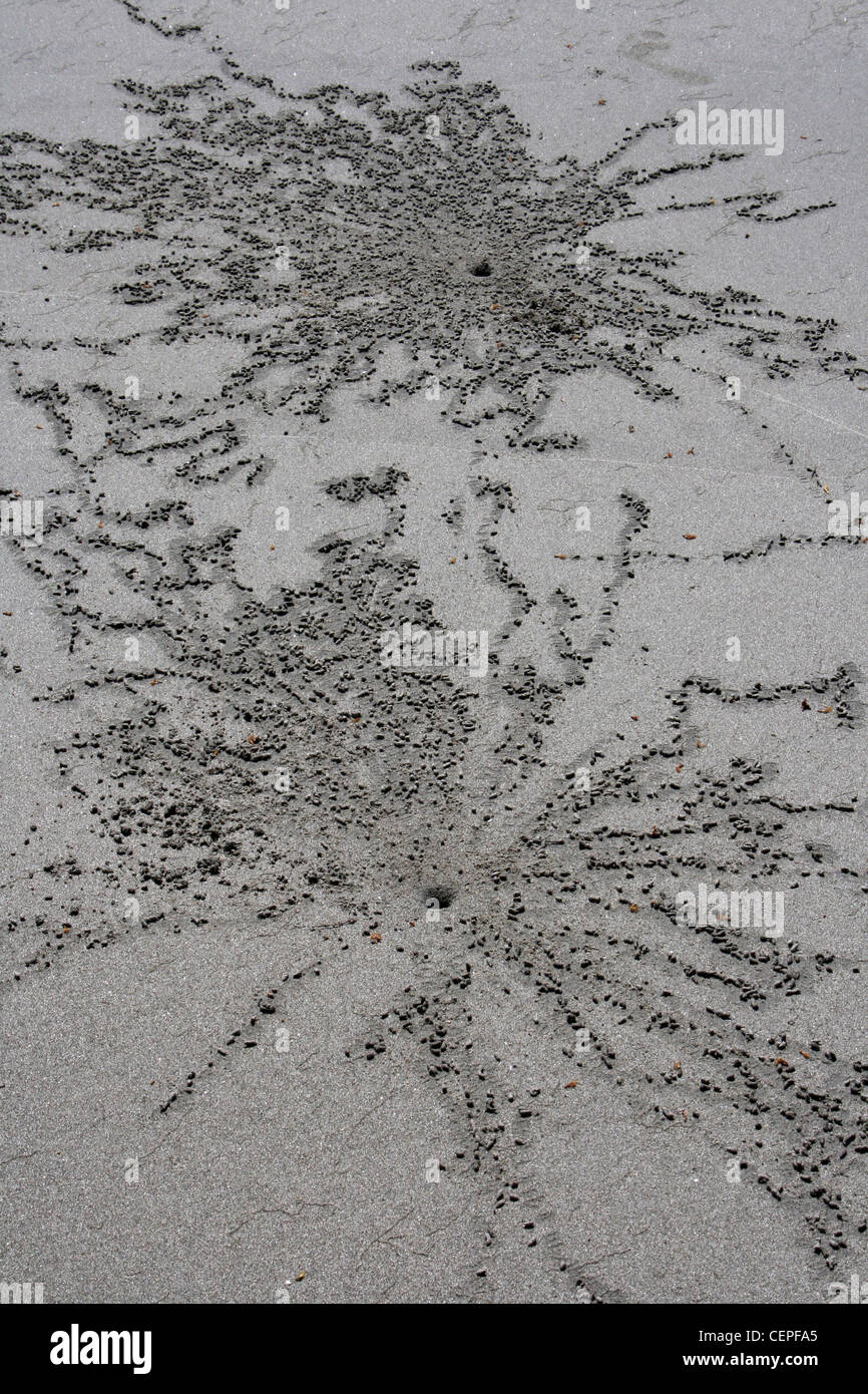 Patrones en la arena de la playa de Manuel Antonio, Costa Rica causada por alimentar cangrejos Foto de stock