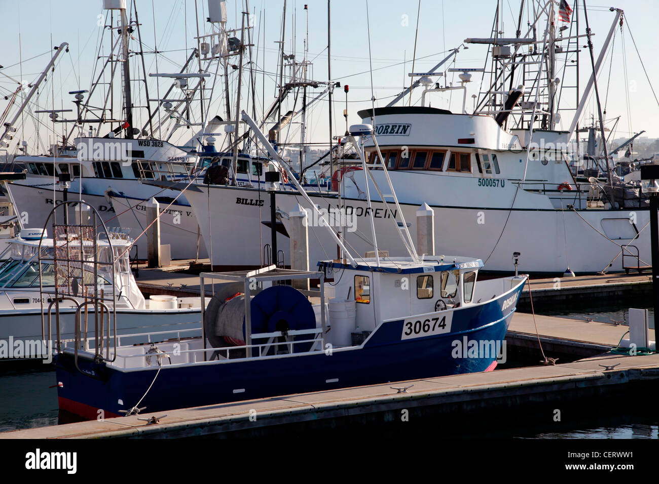 La flota pesquera de atún, San Diego, California, EE.UU. Foto de stock
