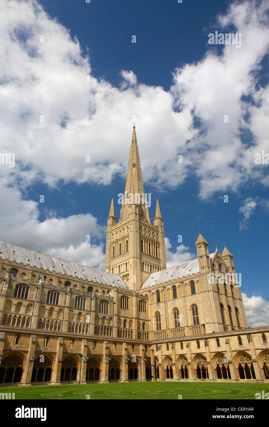 Catedral de Norwich en un brillante día de verano. Foto de stock