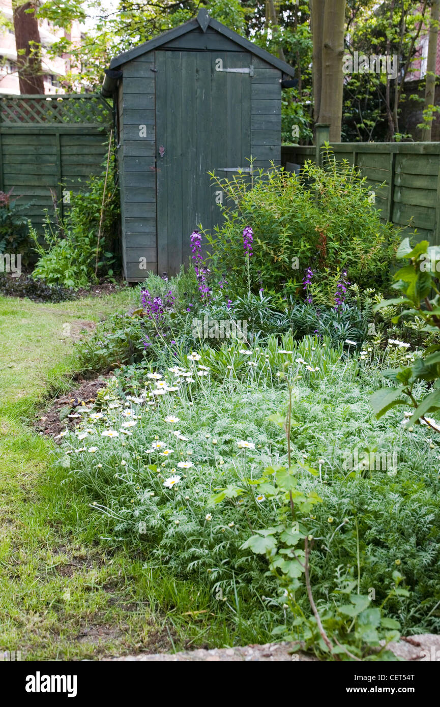 Jardín de césped plano renovado con bordes florales, valla de madera y una pequeña barraca del jardín pintado en pintura verde oscuro Foto de stock