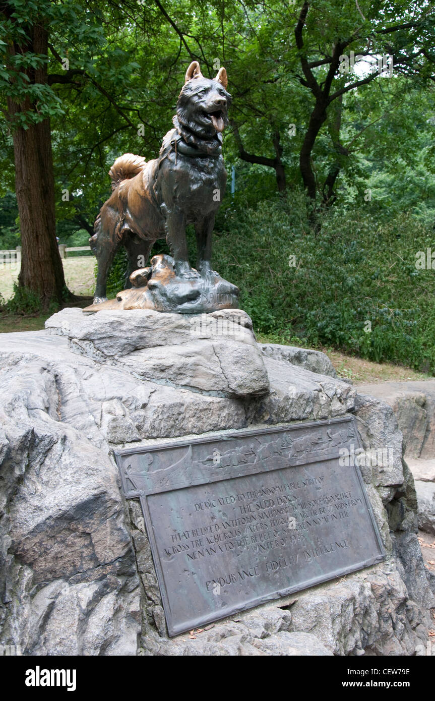 Estatua de Balto el Perro Husky en el Central Park de Nueva York, EE.UU. Foto de stock