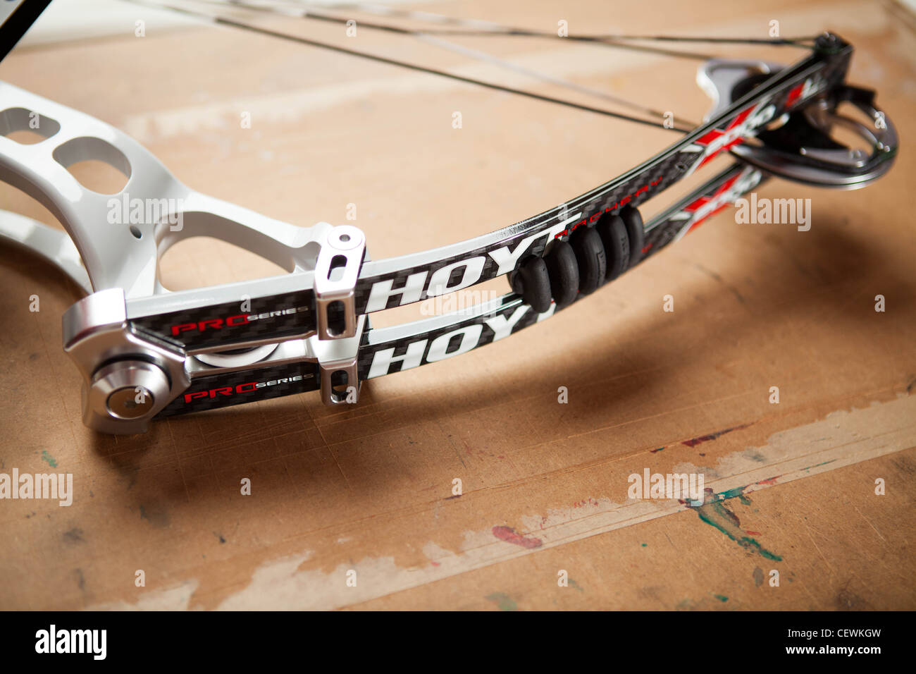 Hoyt Contender Elite arco compuesto en blanco Foto de stock