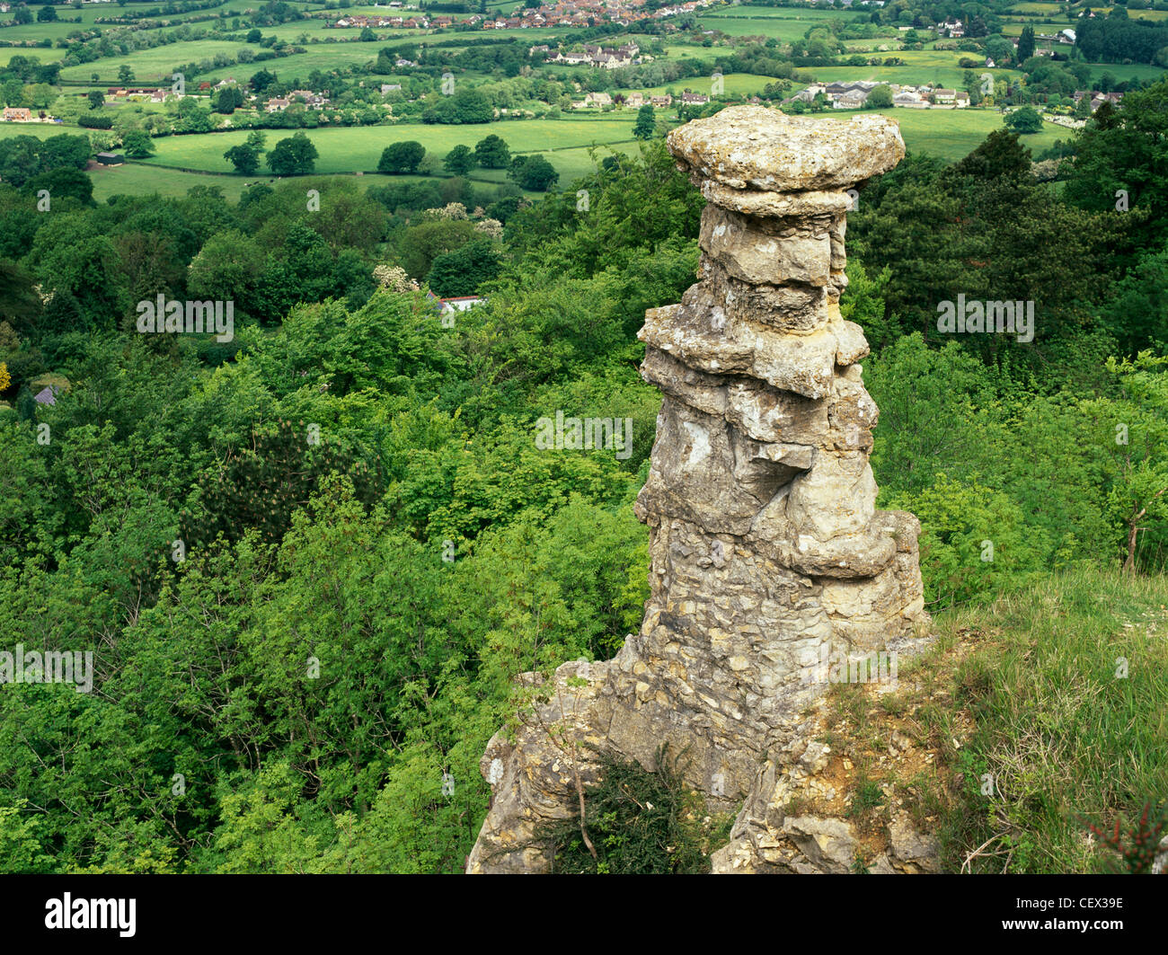 Los Diablos de chimenea, una formación de roca caliza que sobresale por encima de una cantera en desuso en Leckhampton. Foto de stock