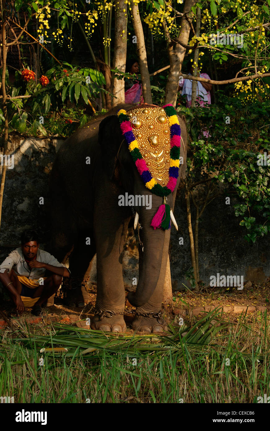 Decorado con elefantes pequeño templo festival decoración especial denominado Nettipattam.Una escena de Kerala, India Foto de stock