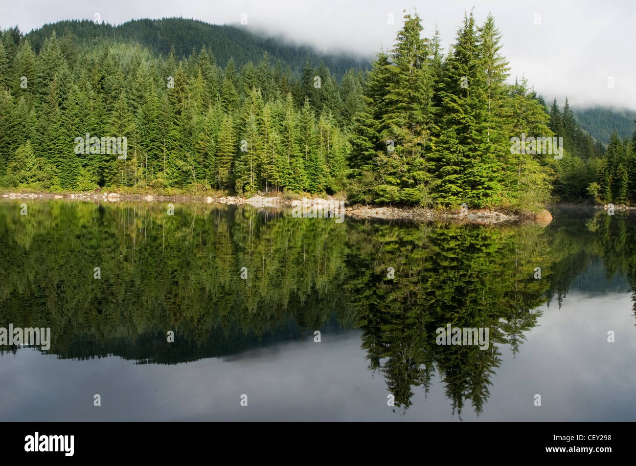 Lago de arroz en el bosque lluvioso, el norte de Vancouver, en la costa de la Columbia Británica, Canadá Foto de stock
