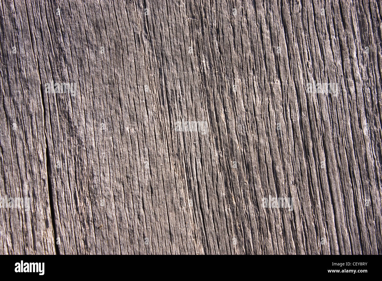 La textura de un tablón de madera, detalles visibles Foto de stock