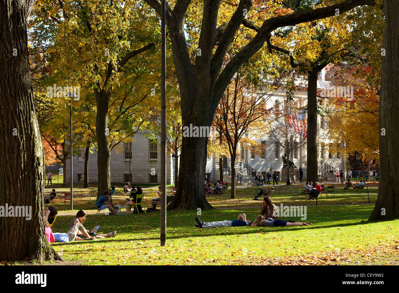 Follaje de patio fotografías e imágenes de alta resolución Alamy