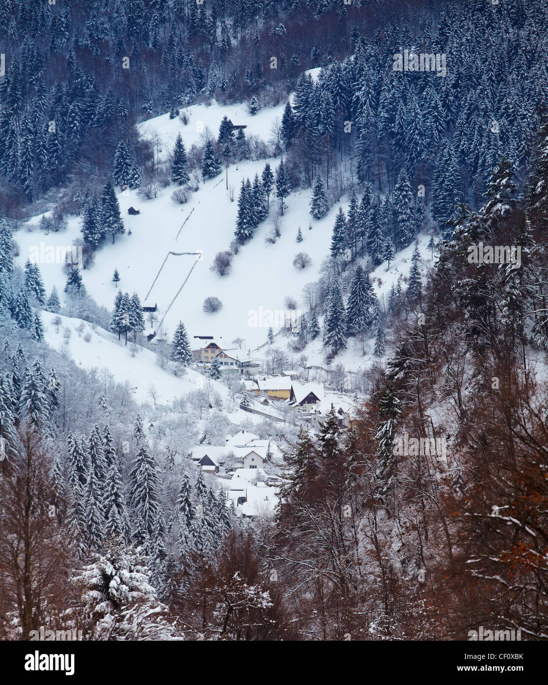 De Moeciu aldea en el condado de Brasov, Rumania, en invierno, visto desde gran altura. Foto de stock