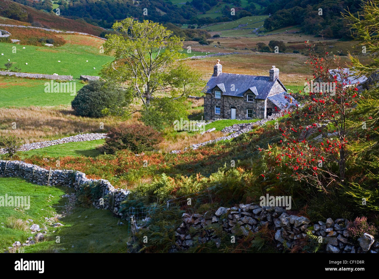 Alquería cercana Cregennan lagos al pie de la cordillera de Cader Idris en el sur de la Patagonia. Foto de stock