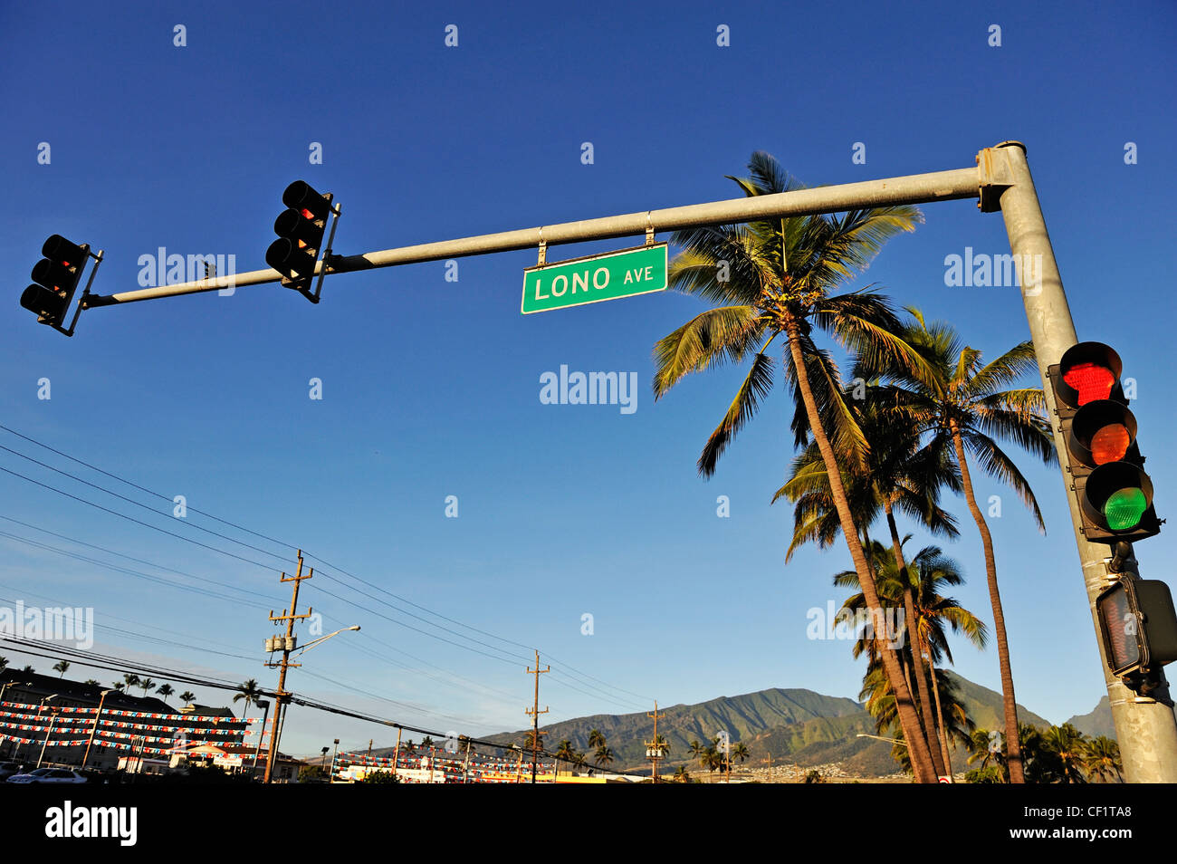 Árboles y Plam semáforo en Lono Avenue, Kahului, Maui, Hawaii, USA LA ISLA Foto de stock