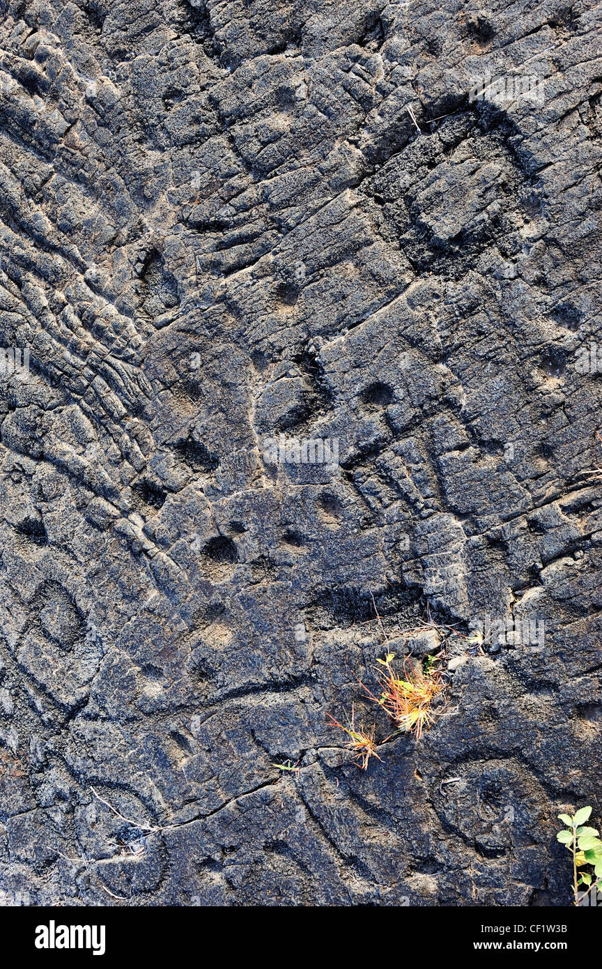Pu'u Loa petroglifos de lava del volcán Kilauea, Isla Grande, las Islas de Hawaii, EE.UU. Foto de stock
