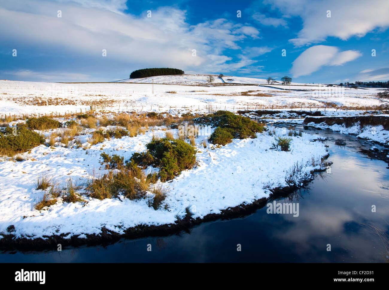 Típico paisaje de Northumberland, cerca de la aldea de Otterburn, transformado después de un invierno de nieve. Foto de stock