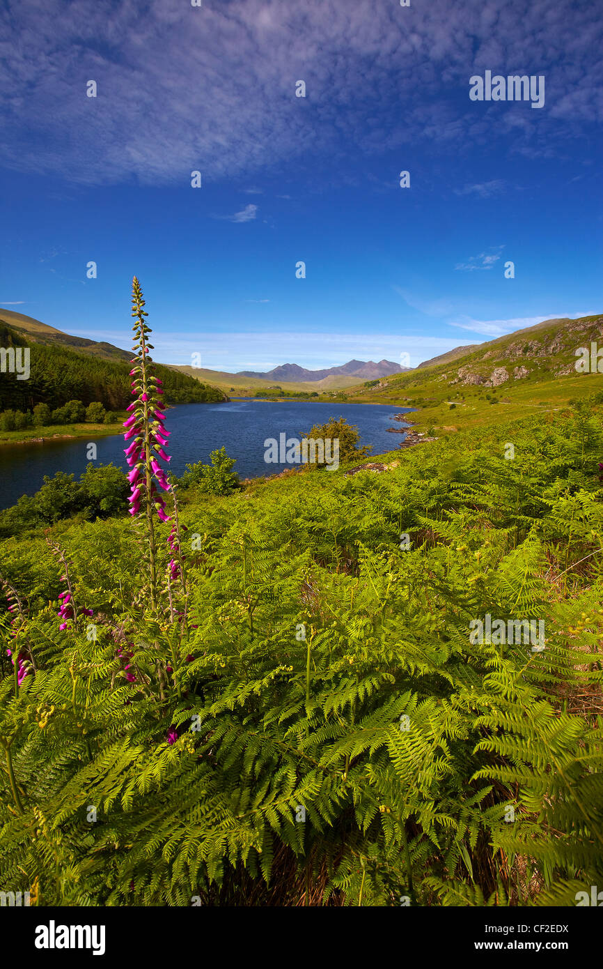 Vistas de Llyn Mymbyr hacia Snowdon, la montaña más alta en el País de Gales, en la distancia. Foto de stock