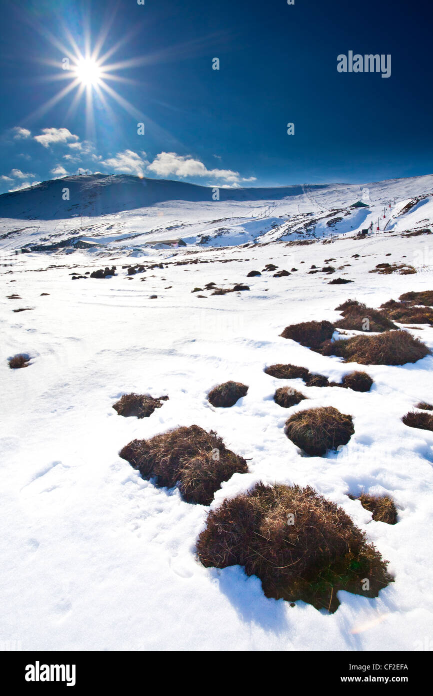 Las laderas cubiertas de nieve de la Glenshee Ski Area y remontes. Foto de stock