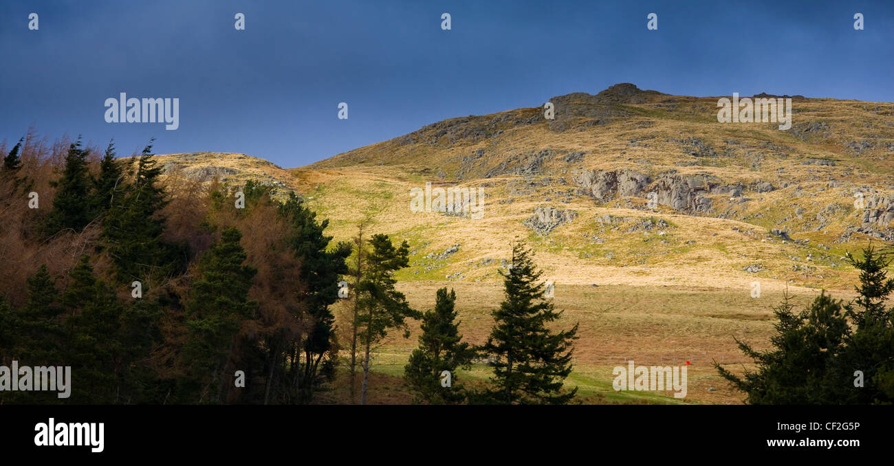Mirando hacia la colina de Dunmoor Breamish Linhope en el valle cerca de Ingram en el Parque Nacional de Northumberland. Foto de stock