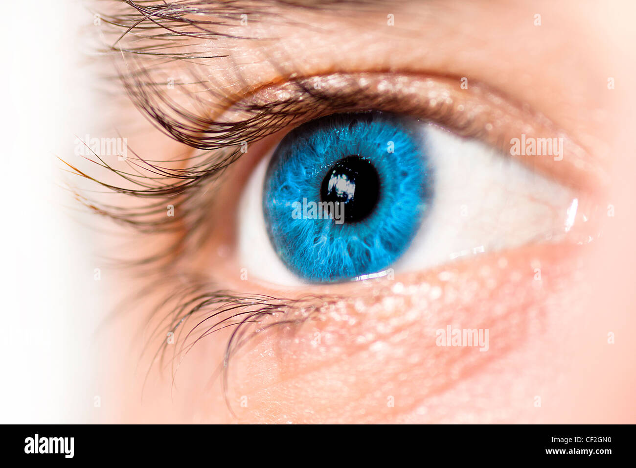 Macro de un ojo azul. Vista lateral, el enfoque selectivo. Foto de stock