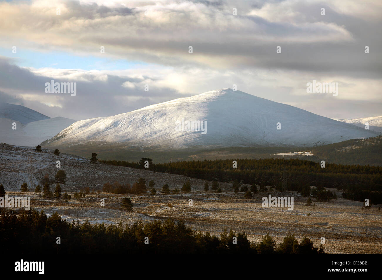Una vista sobre el Braes de Abernethy a Bhuachaille Meall a'. Foto de stock