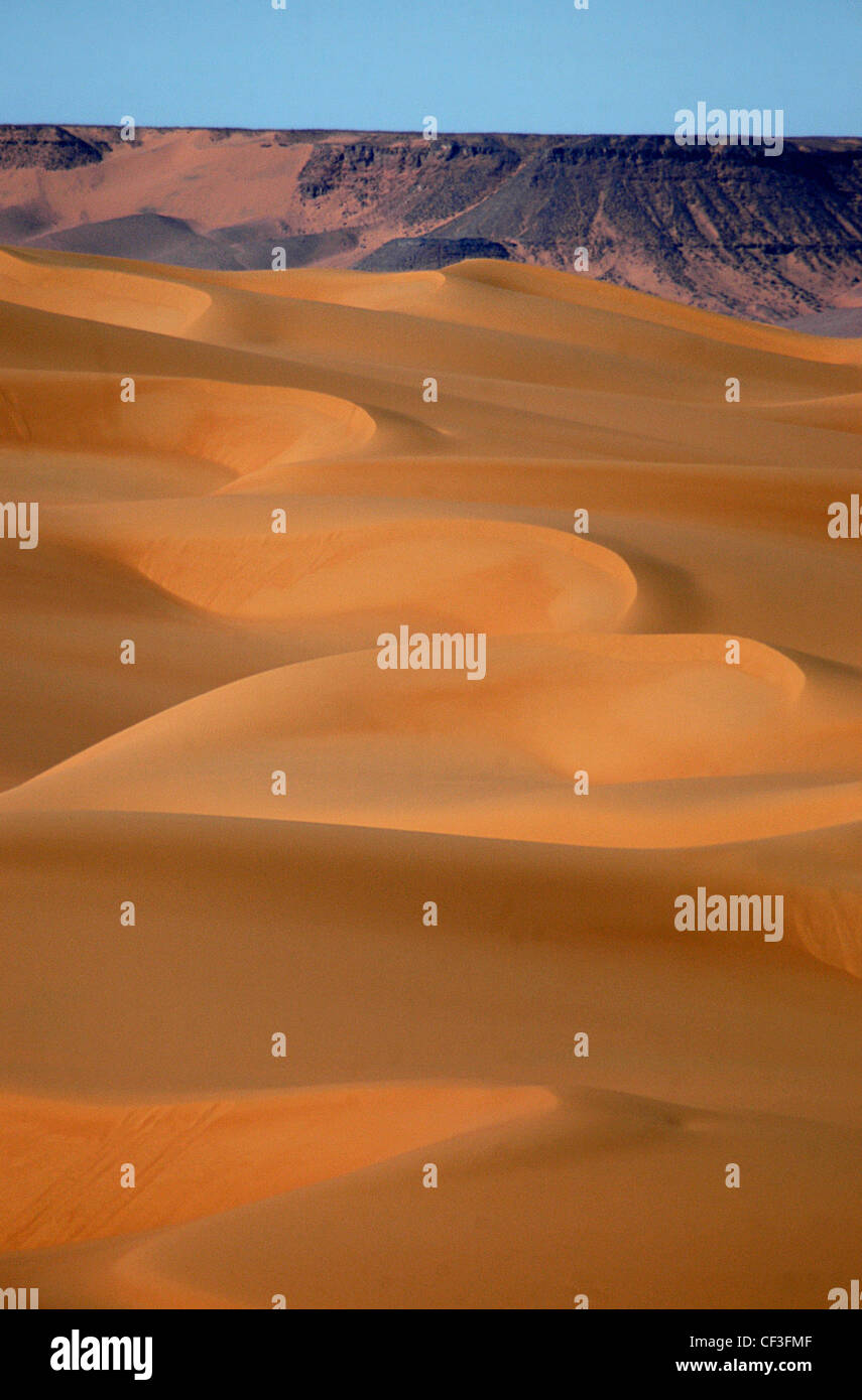 Desierto de dunas de arena, gran mar de arena, el desierto occidental Foto de stock