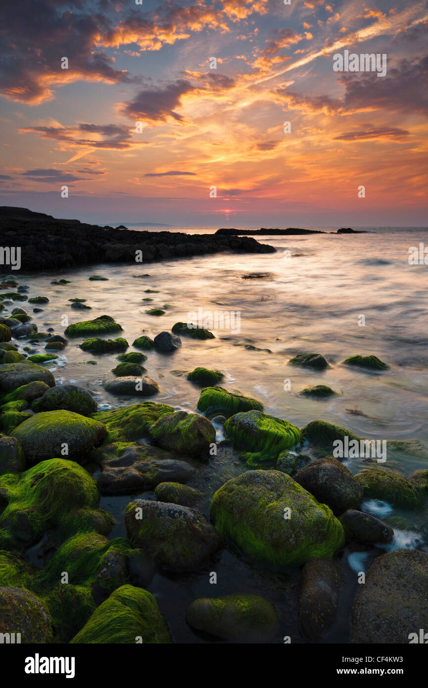 Puesta de sol sobre rocas cubiertas de algas verdes en Penmon punto en la isla de Anglesey. Foto de stock