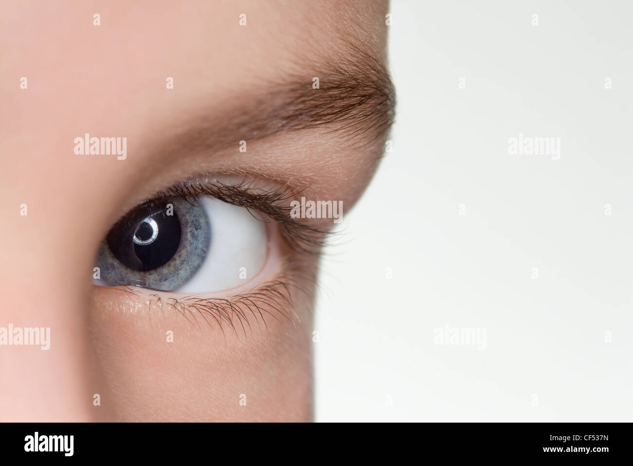 Ojo azul izquierda de niño cierre aisladas sobre fondo blanco. Foto de stock