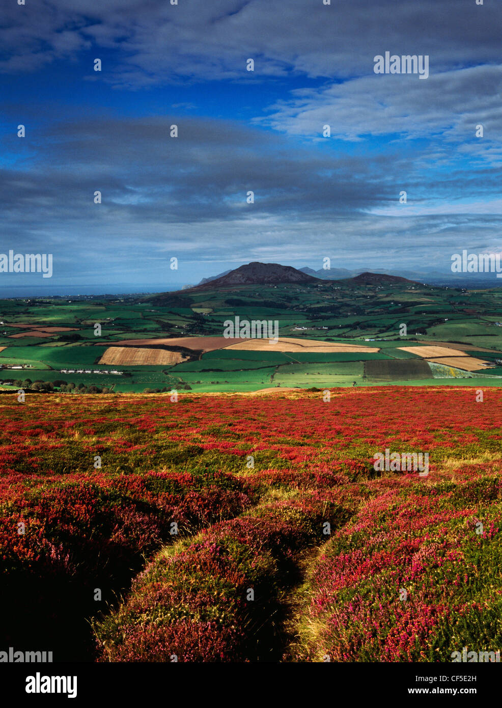 Busca NE desde el sitio de Mynydd Rhiw hacha neolítica hasta la península de Lleyn en fábrica con el carn de la Edad de Hierro hillfort prominen Fadryn Foto de stock