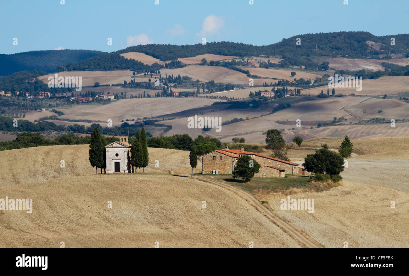 Campo en el Valle de Orcia con capilla, rodeado de cipreses, Toscana, Italia Foto de stock