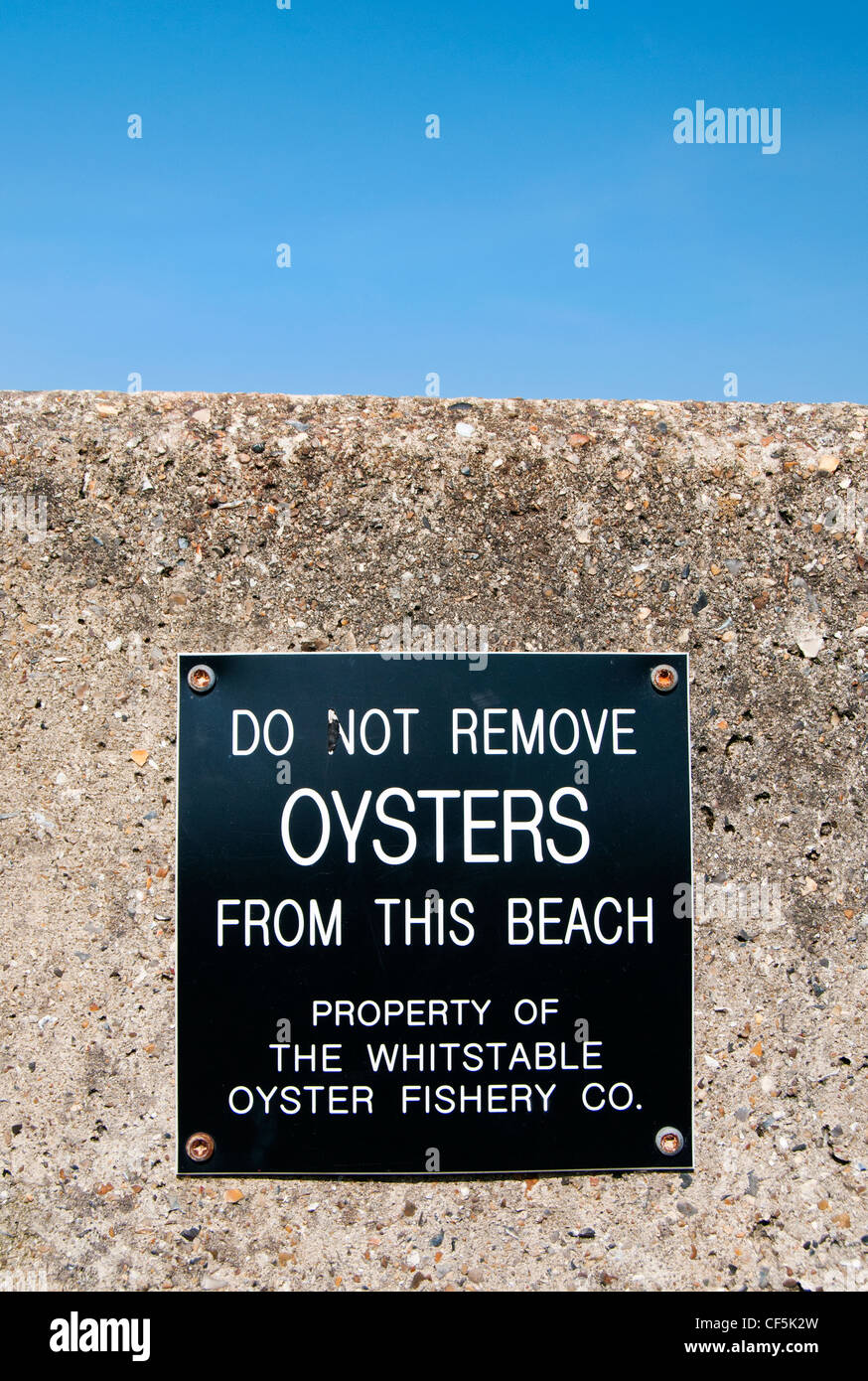 "No quitar las ostras de esta playa' firmar en Whitstable, una zona famosa por sus ostras que han sido recolectados desde Foto de stock