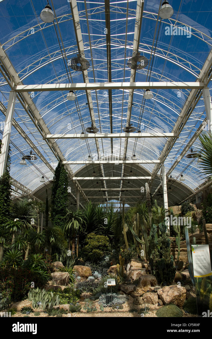 Las plantas en exhibición en la zona de clima templado seco en el interior del invernadero nuevo en RHS Wisley. Foto de stock