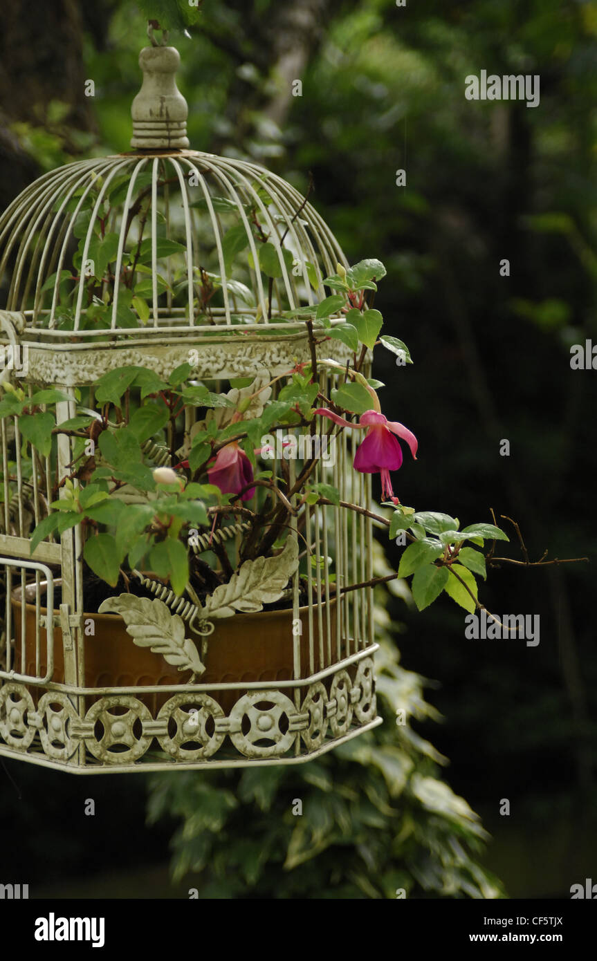 Jaula de pájaros de metal blanco fotografías e imágenes de alta resolución  - Alamy
