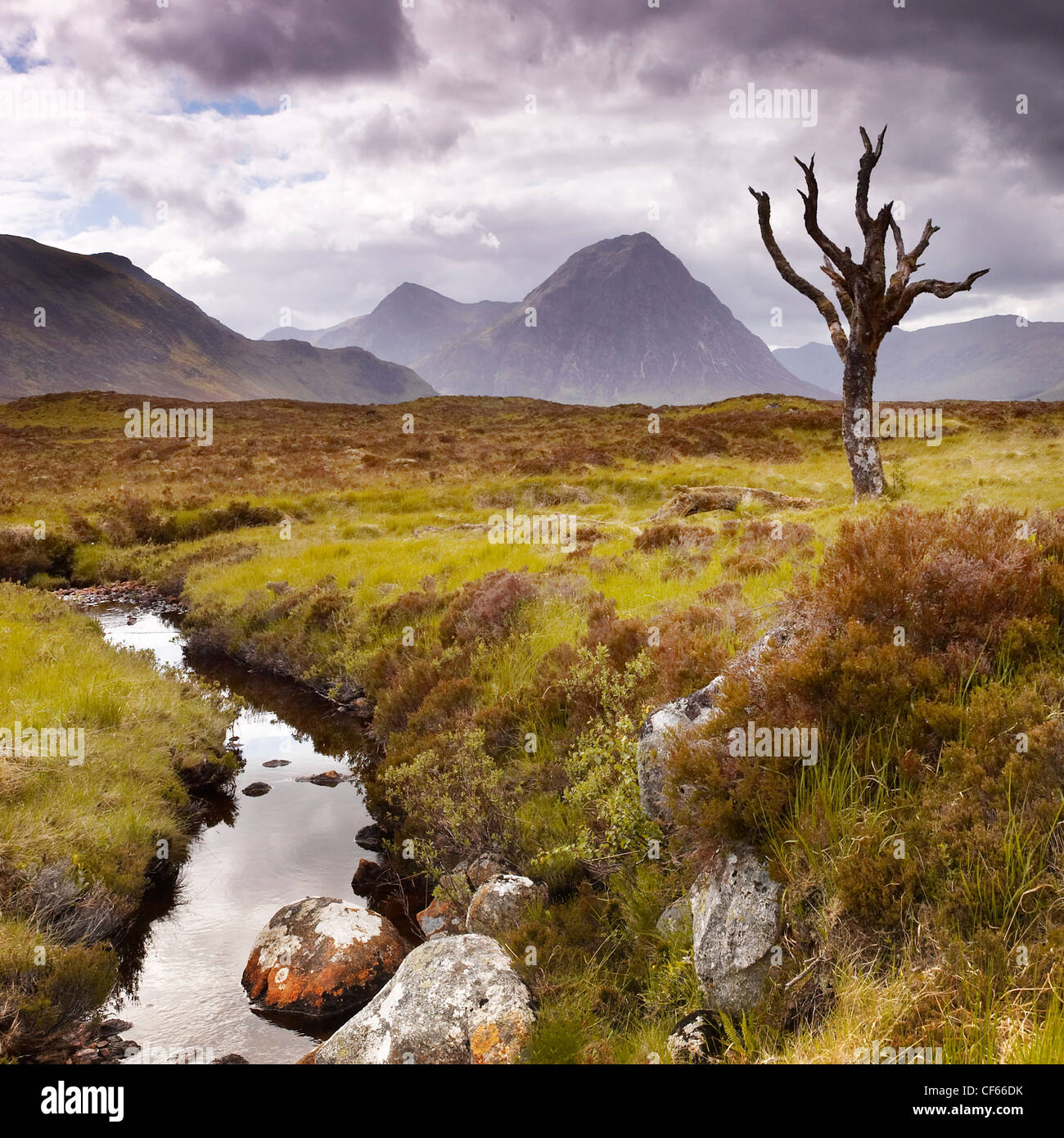 Una vista a través de Rannoch Moor en las Highlands escocesas. Foto de stock