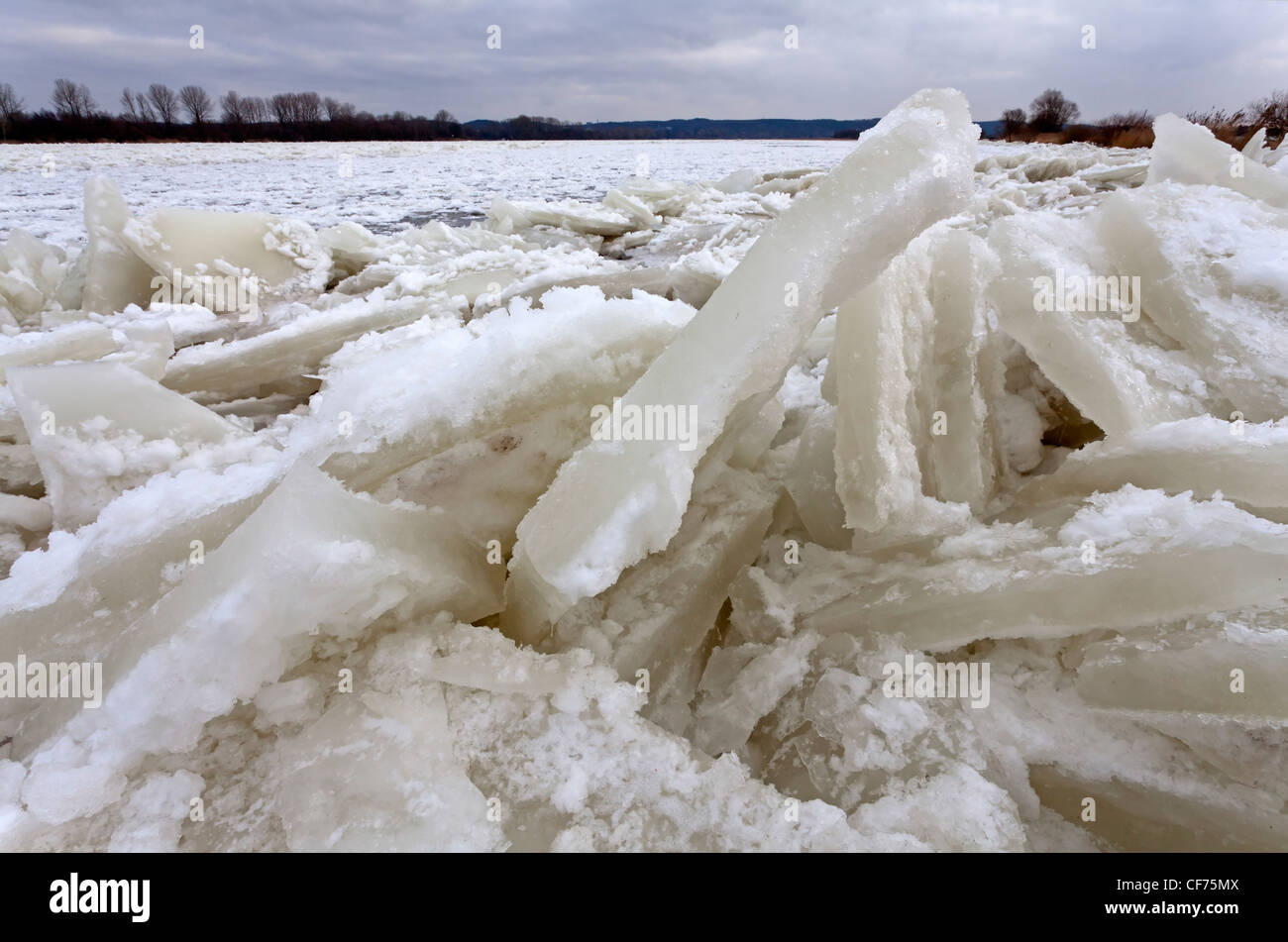 Elba congelados, Alemania Foto de stock