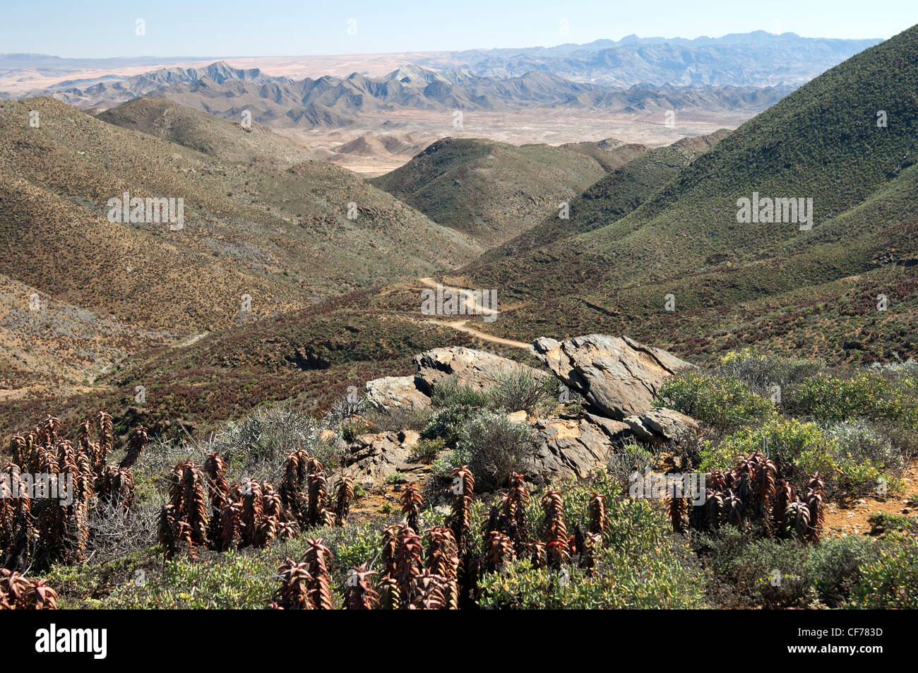 Valle árido en la Helskloof Pass, Parque Nacional Richtersveld, Namaqualand, Sudáfrica Foto de stock