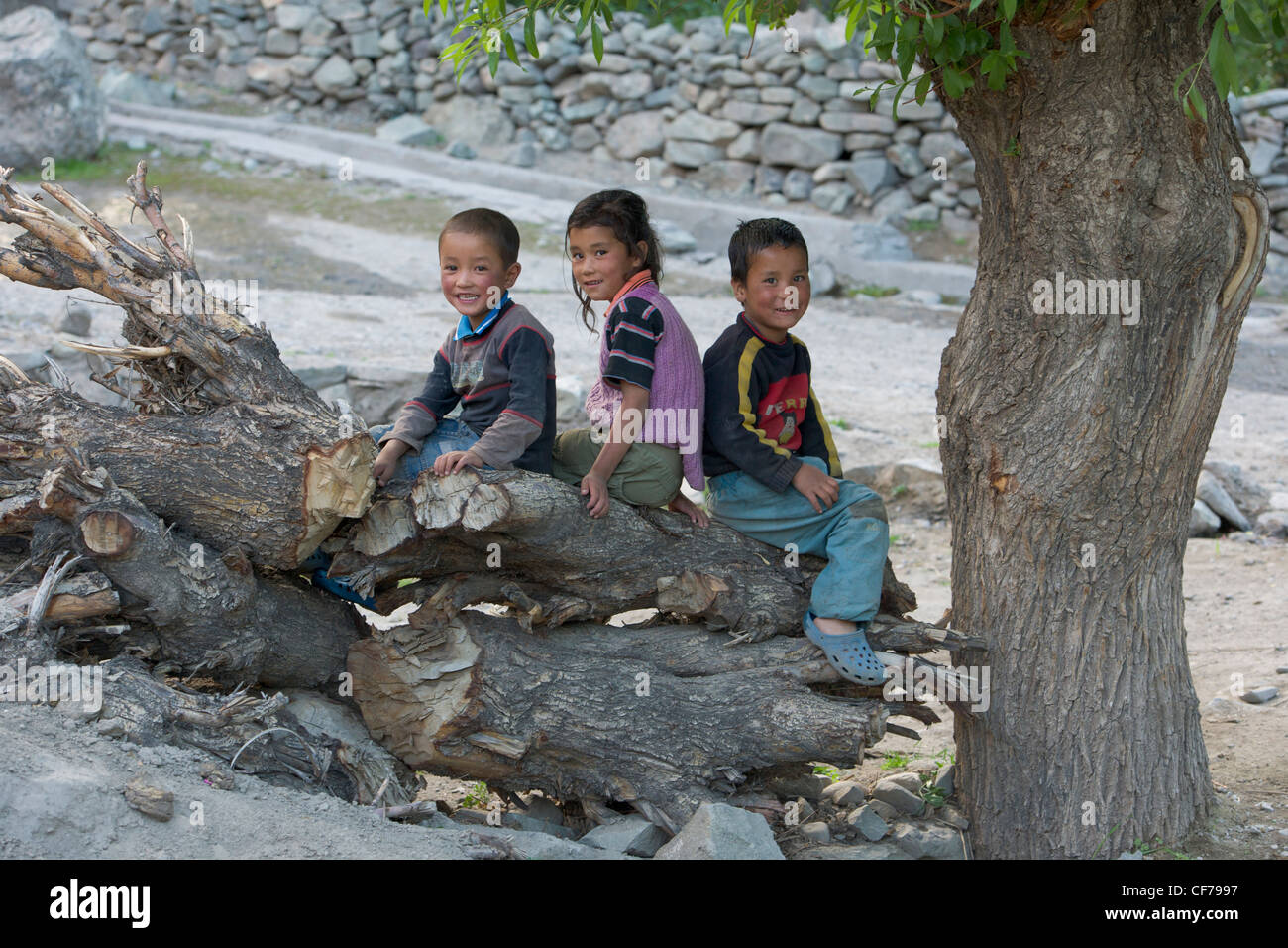 Ladakh niños sentados en la leña cerca de Hemis Gompa, (Ladakh) Jammu & Kashmir, India Foto de stock