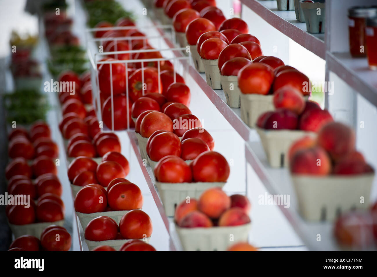 Cajas de tomates a pie de granja Foto de stock