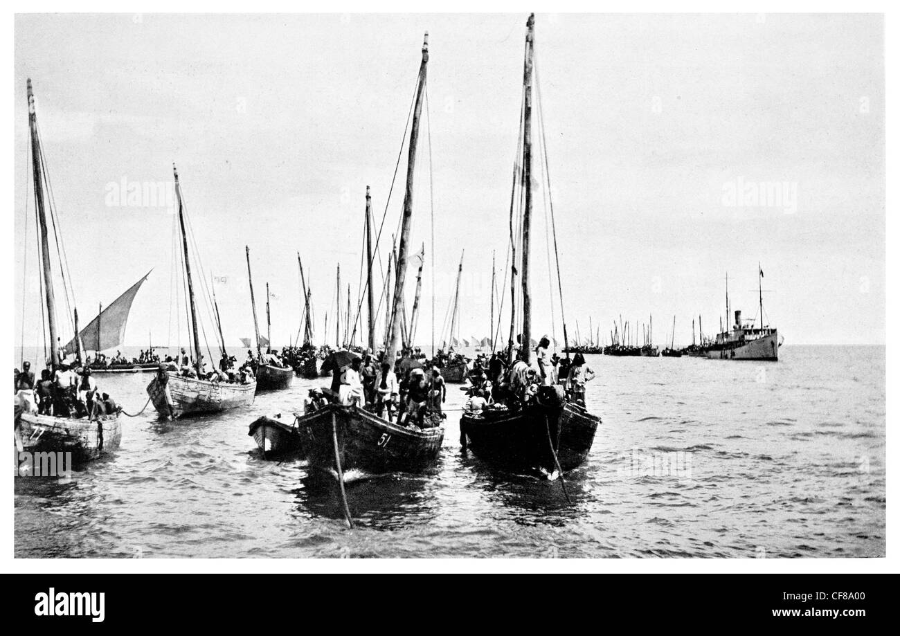 1926 Pearl Ceilán flota Golfo de Manaar Sri Lanka Foto de stock