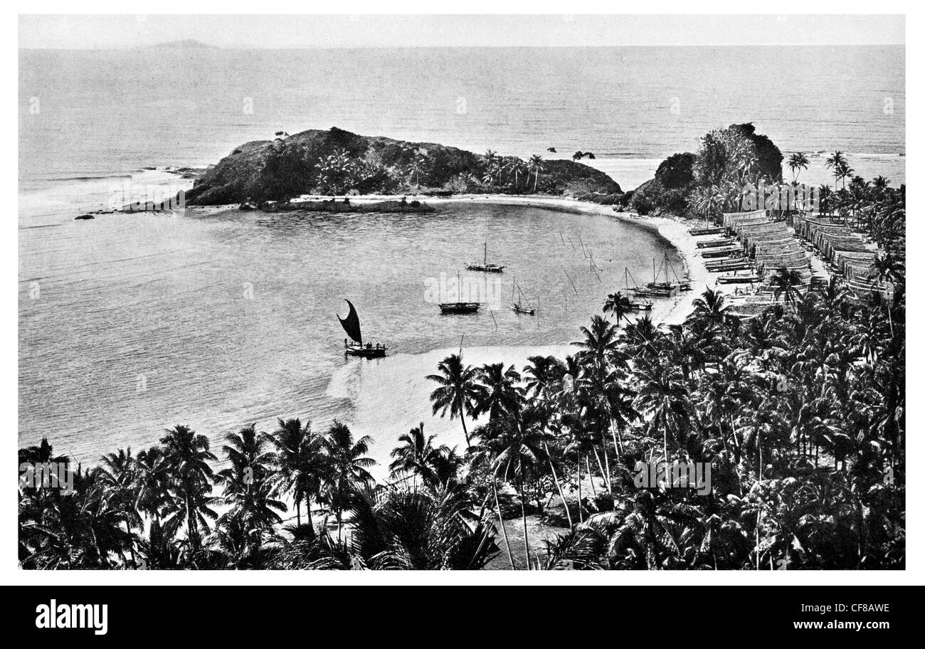 Palm Mailu Coral Beach Nueva Guinea 1927 Foto de stock