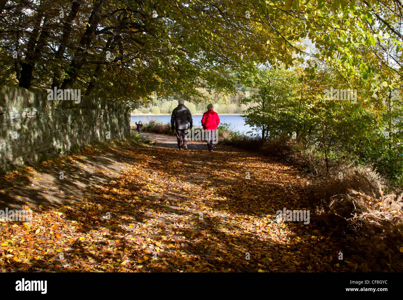 Pareja caminando en Ogden, depósito de agua cerca de Halifax, West Yorkshire, en otoño. Foto de stock