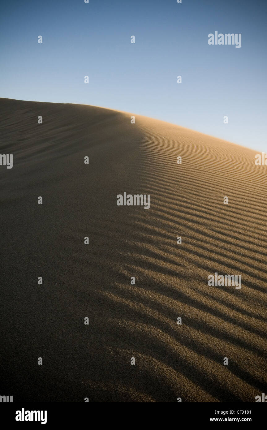 Dunas de arena del desierto de dunas de arena de los desiertos áridos desplazando Foto de stock