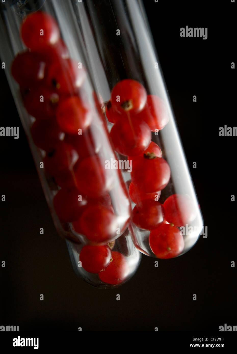 Redcurrants en tubos de ensayo de vidrio Foto de stock