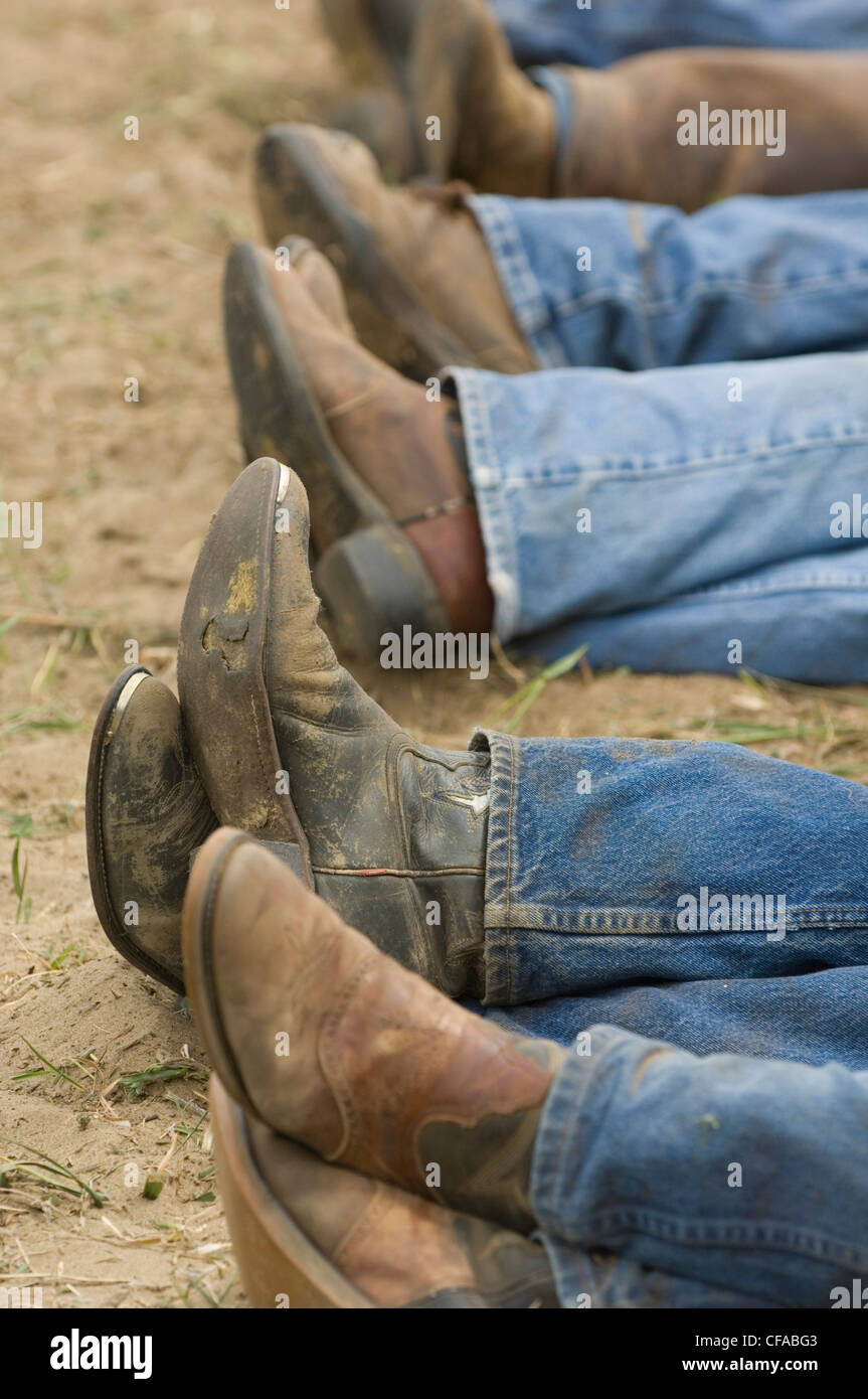 Botas y pantalones vaqueros de tomar un descanso durante la primavera  branding, Saskatchewan, Canadá Fotografía de stock - Alamy