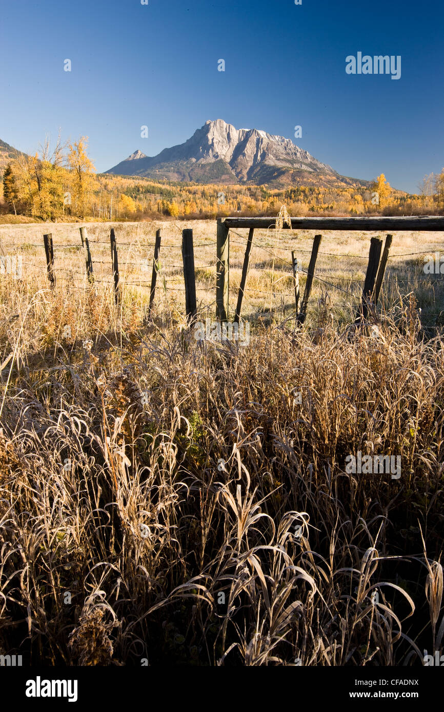 Campo y monte Hosmer en otoño cerca de Fernie, BC, Canadá. Foto de stock