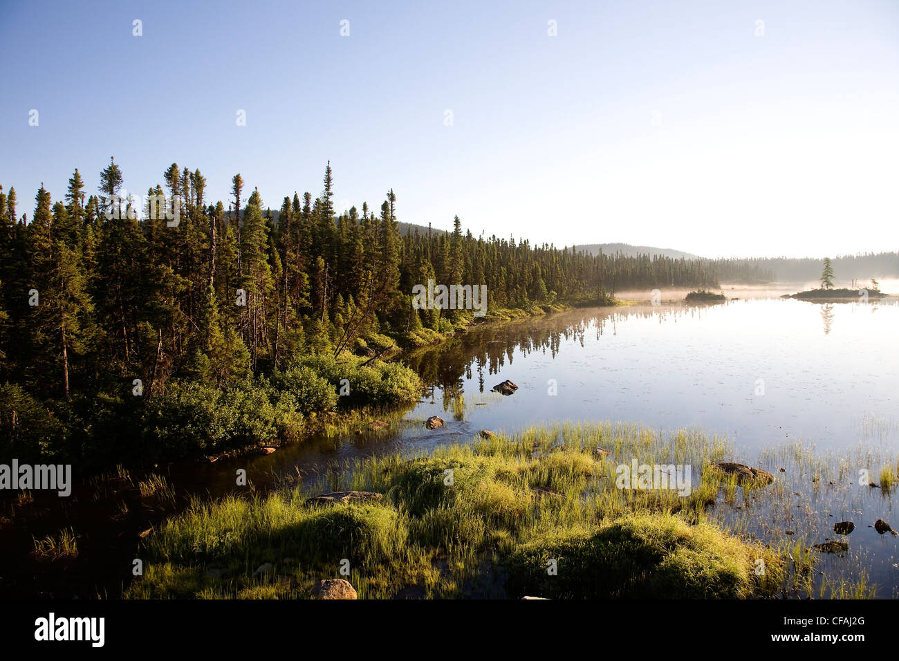 Los humedales, los bosques boreales y al norte de Port Hope Simpson sobre la ruta 510, Labrador