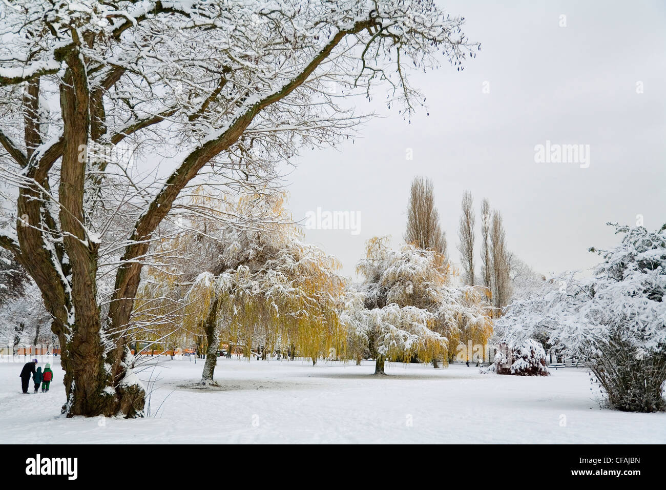 Después de una tormenta de nieve a comienzos del invierno, a finales de noviembre, Jericó Park, Vancouver, British Columbia, Canadá Foto de stock