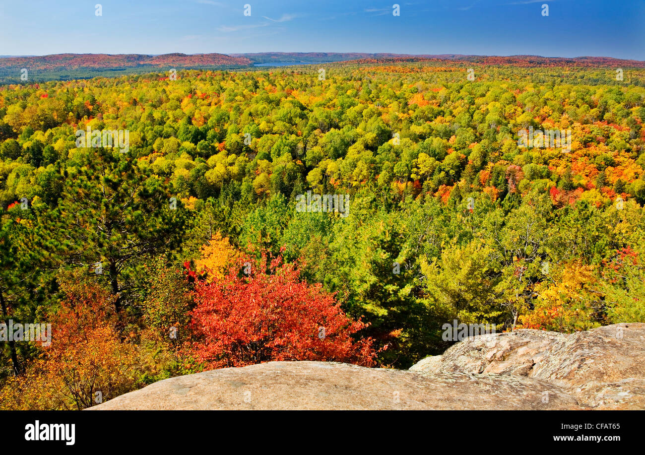 El Algonquin Park en otoño, vista desde Lookout Trail, Ontario, Canadá Foto de stock