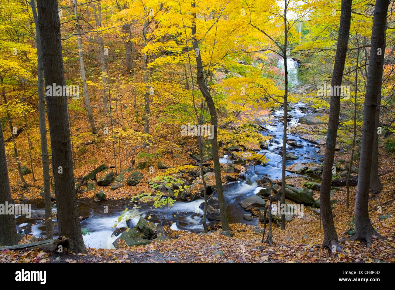 Grindstone Creek y Grand Falls en otoño, Bruce Trail, Niagara Escarpment, Hamilton, Ontario, Canadá Foto de stock