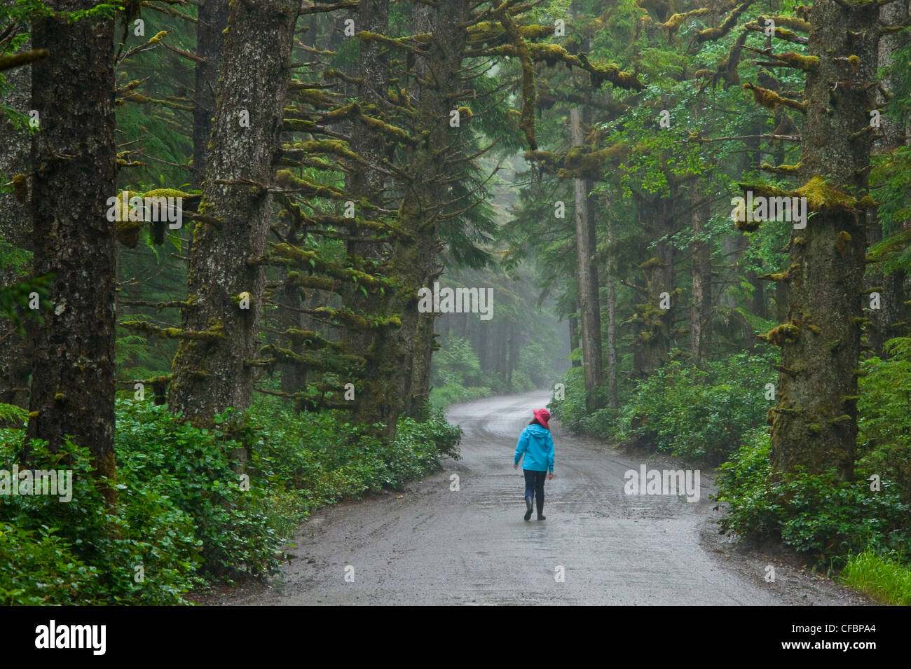 Joven andando carretera rainforest Tow Hill Foto de stock