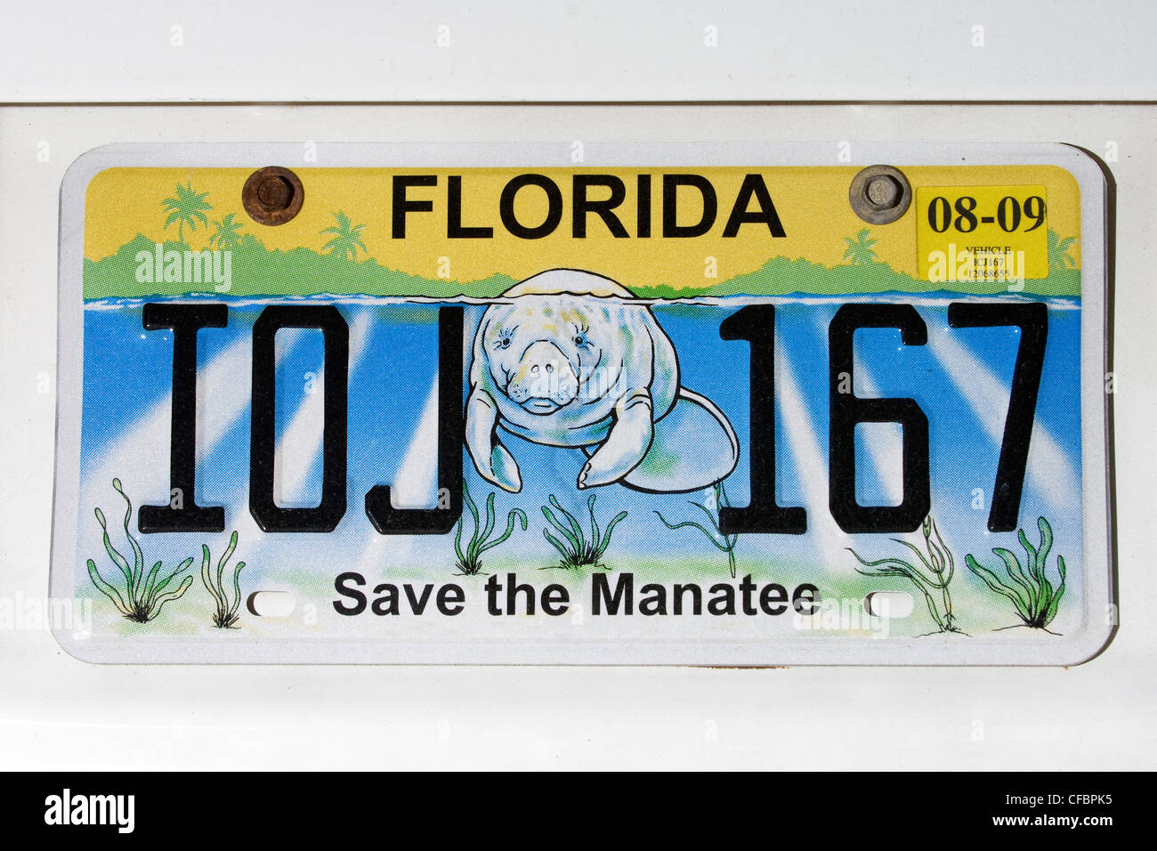 Guardar el manatí de matrícula, Florida, U.S.A. Foto de stock