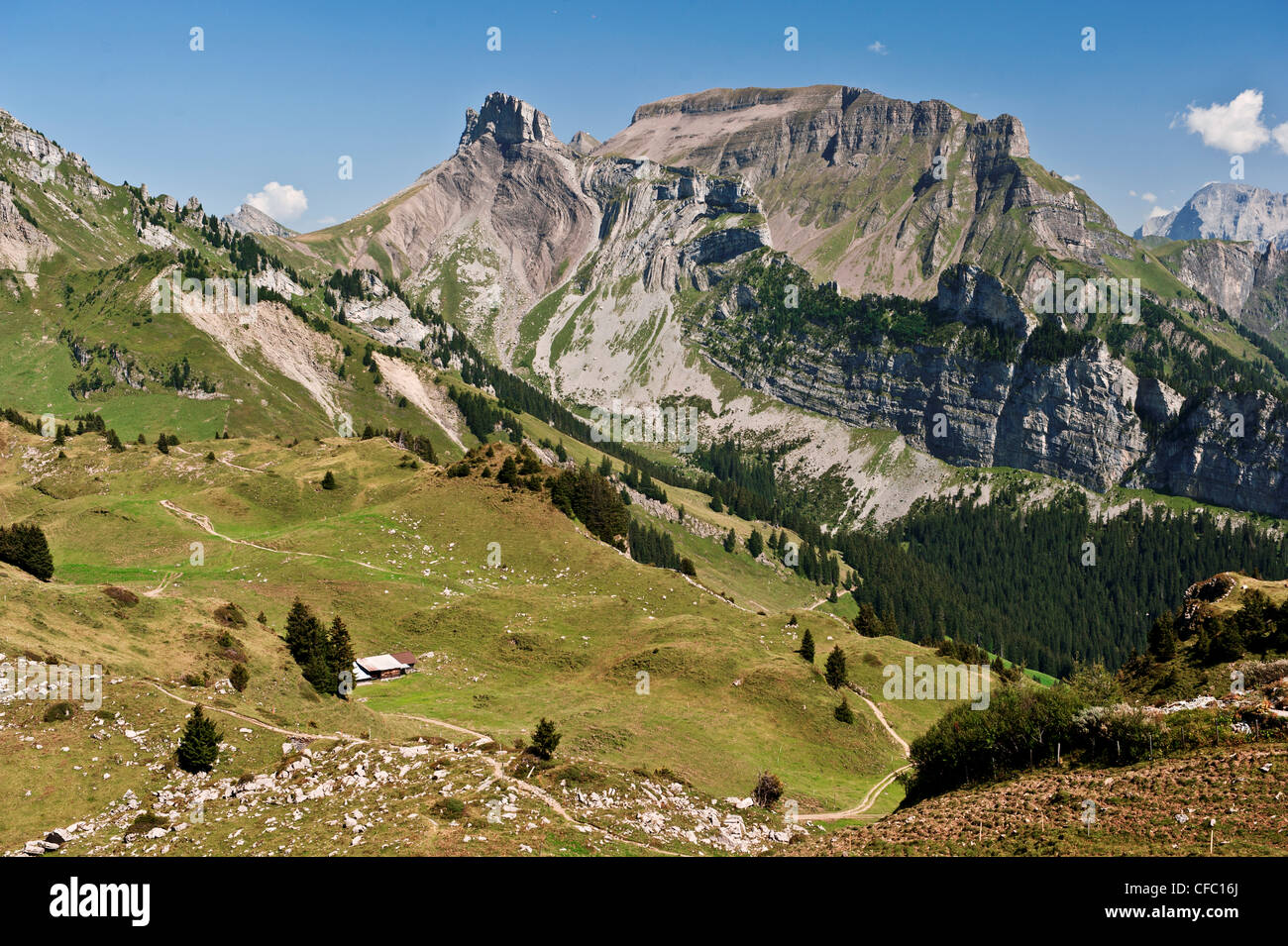 Alp, Alpes, pastizales alpinos, paisaje montañoso paisaje montañoso, paisaje de montaña, mountainscape, Alpes Bernese Oberland, Alp Foto de stock